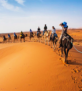 Excursiones en Camellos