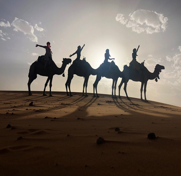 Camel ride Morocco