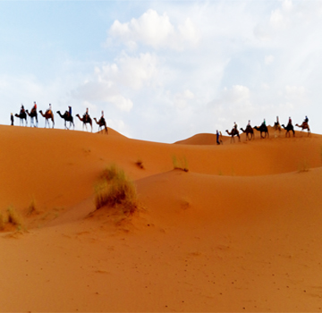 Merzouga camel trek