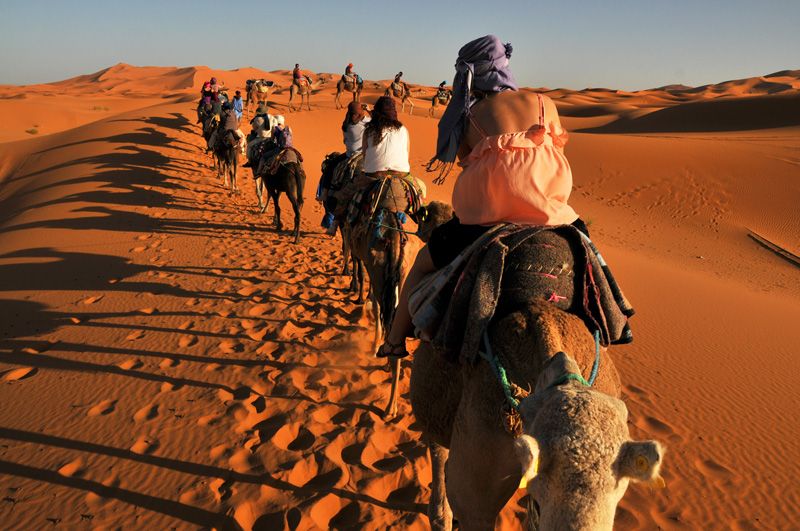 Sahara Trips
