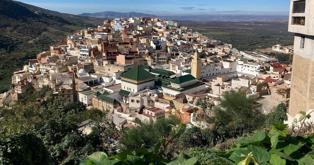 Day Trip from Fes to Meknes & Volubilis
